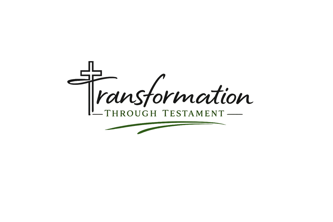 Founder Testimony